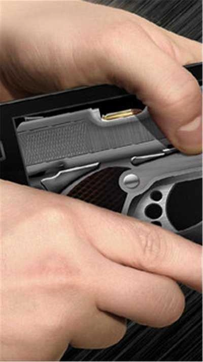 真实枪械模拟器免费版图4