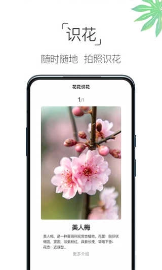 养花大全免费原版图2