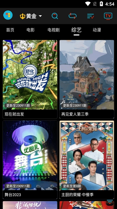 黄金影视无广告版图4