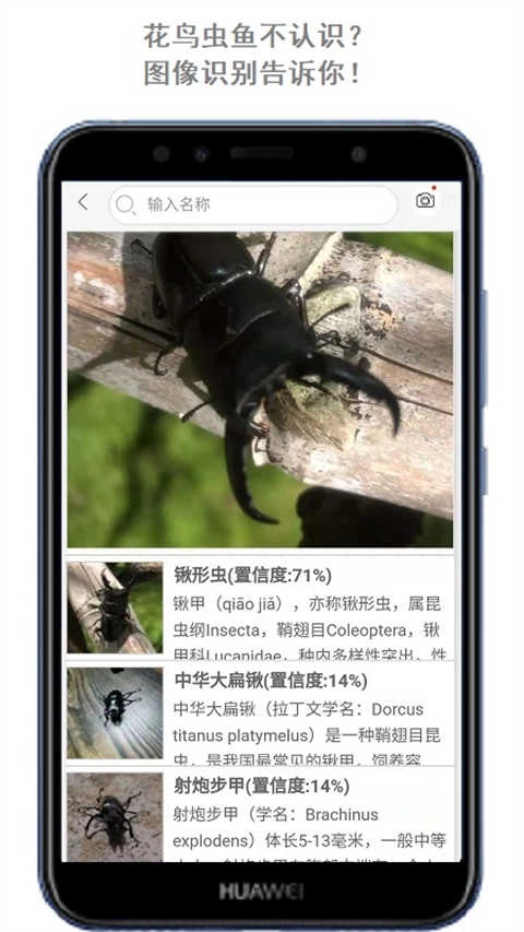 万物识别手机正版图4