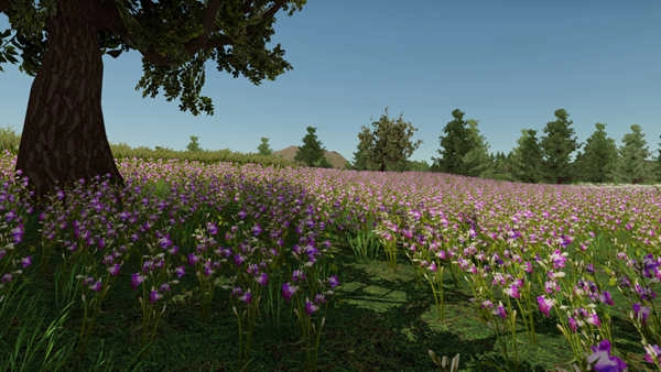 我的乡村生活安卓版图2