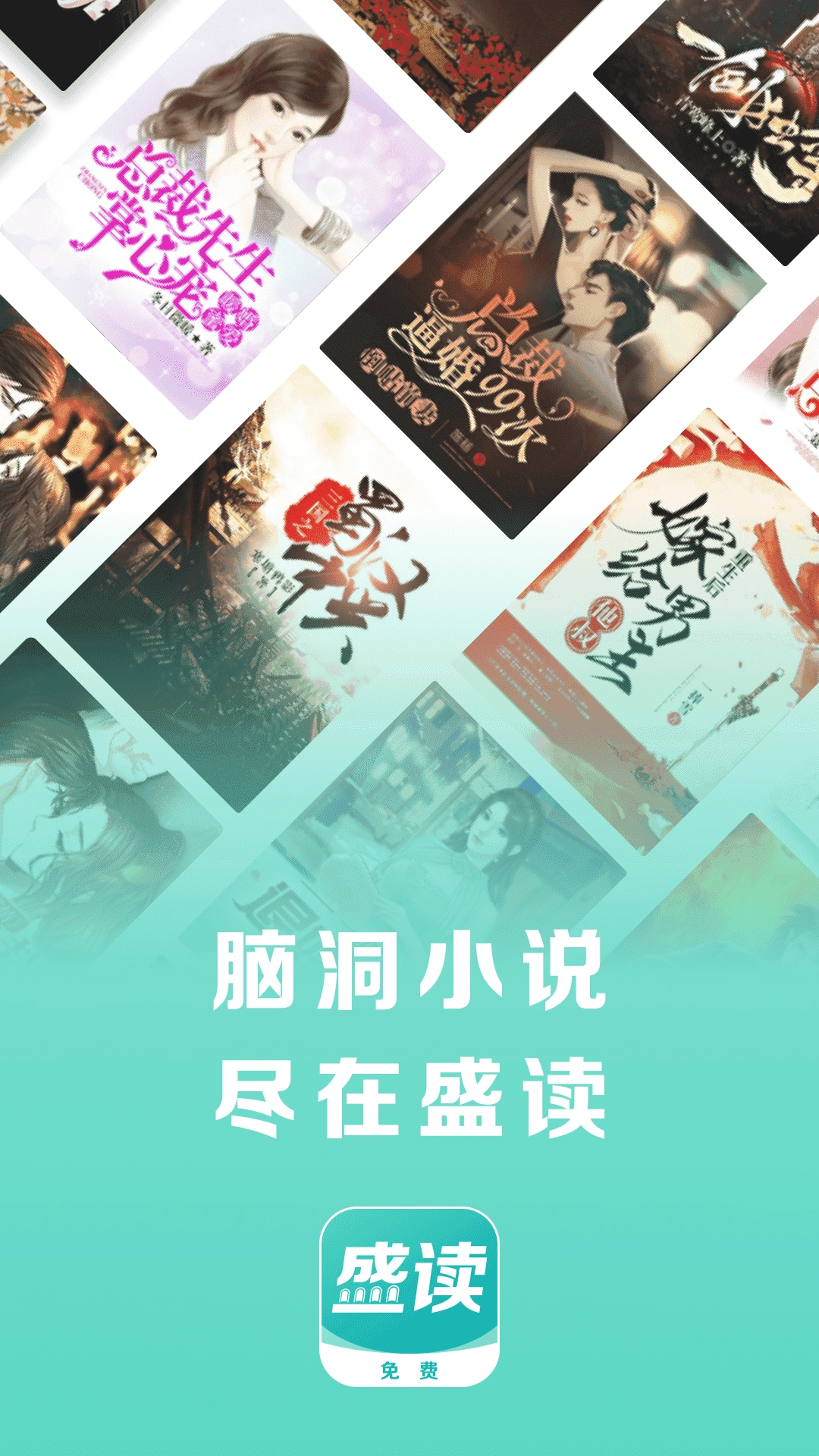 盛读小说无广告版图2