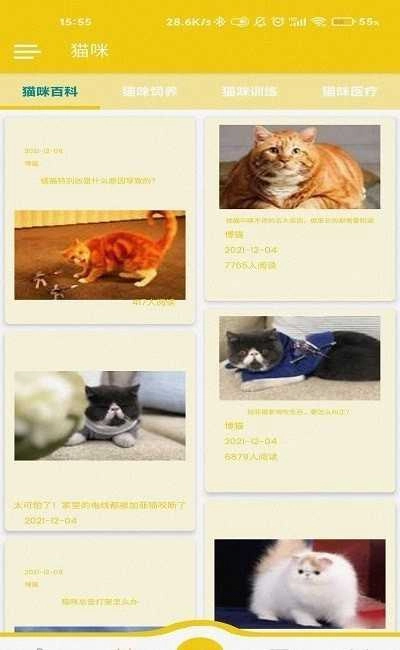 博猫手机版图2