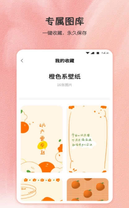 小王壁纸库正版图3