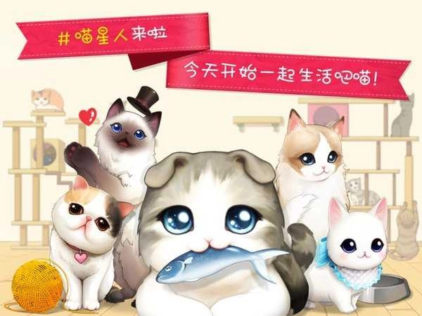猫猫咖啡屋游戏纯净版图4