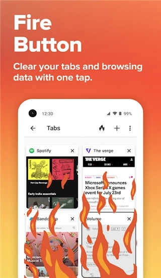 duckduckgo浏览器通用版图2