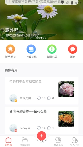 花信官方正版图4