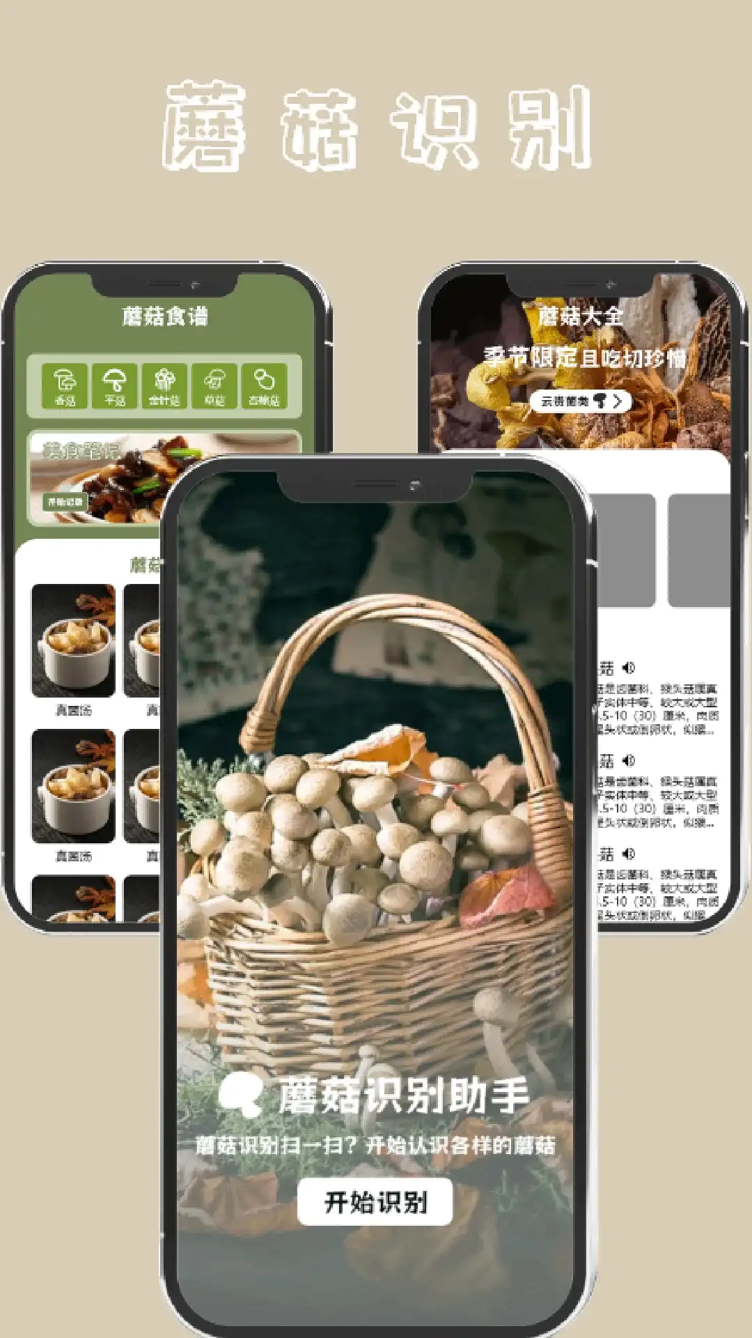 蘑菇识别扫一扫安卓官方版图2