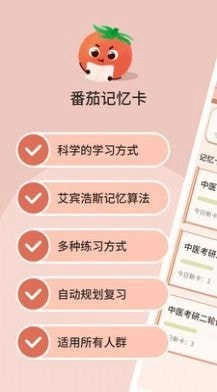 番茄记忆卡安卓直装版图4