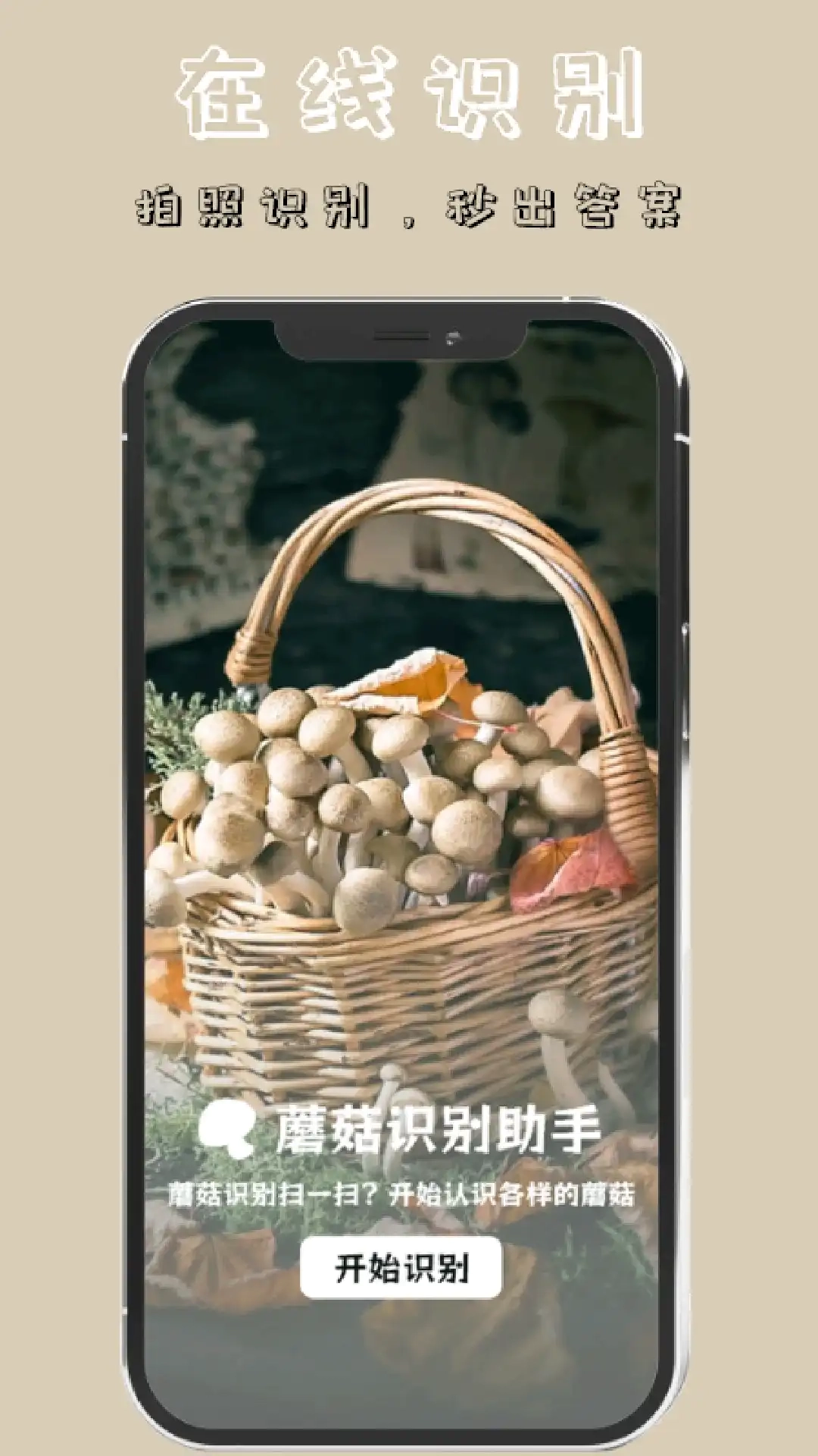 蘑菇识别扫一扫安卓官方版图1
