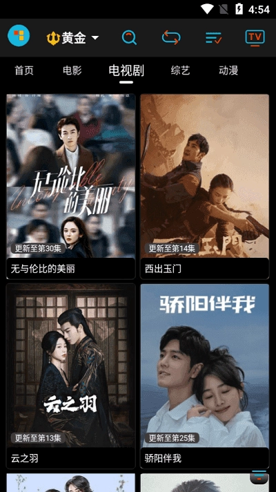 黄金影视无广告版图1