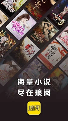 琅阅小说手机版图2