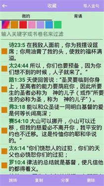 精读圣经正版图3