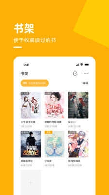 麦子小说正版