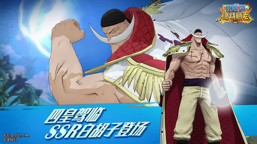 航海王：燃烧意志直装版