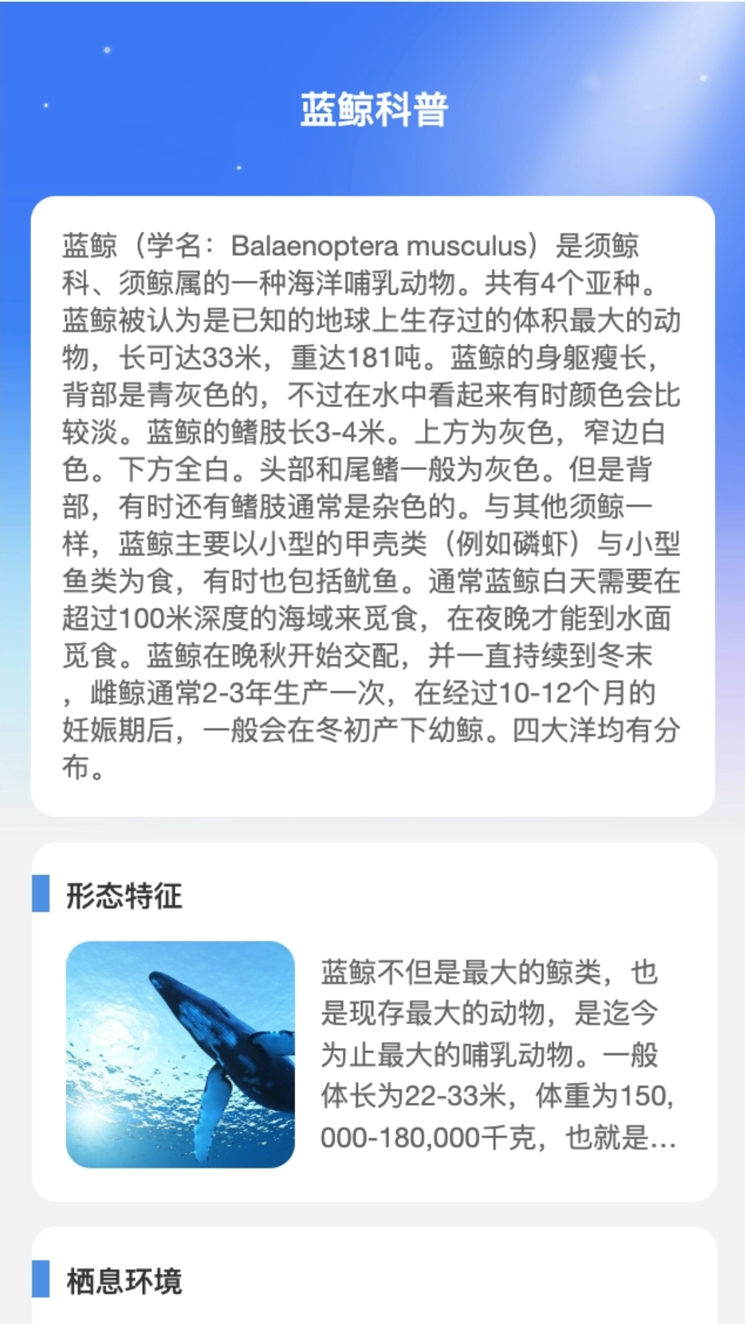 蓝鲸WiFi安卓直装版图3