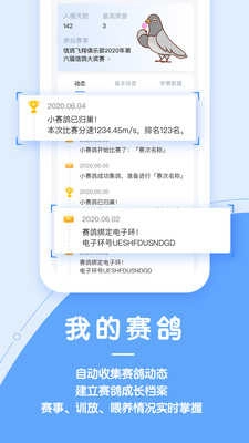信鸽纵横安卓免费版图3