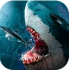 鲨鱼狩猎模拟器