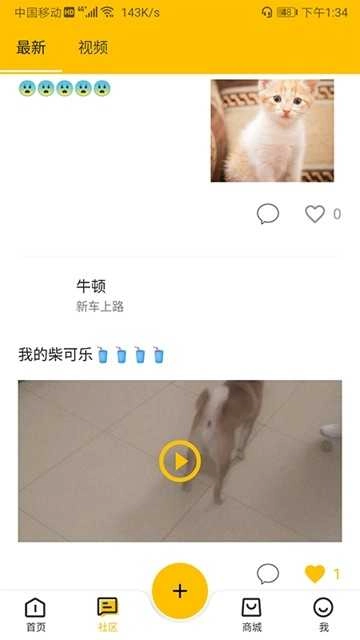 宠窝通用版图2