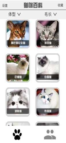 微桌壁纸原版图2