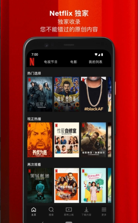 奈飞 Netflix通用版图3
