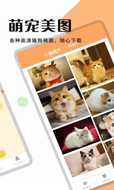 猫狗宠物翻译官方正版图4