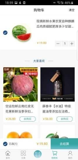 极家鲸选手机正版图3
