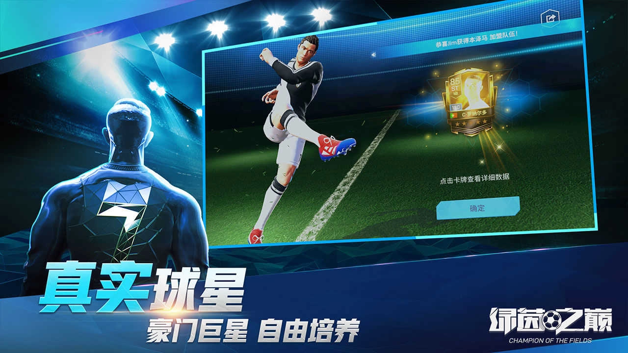 绿茵之巅网易版图1