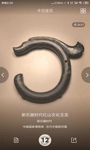 每日一宝直装版图2