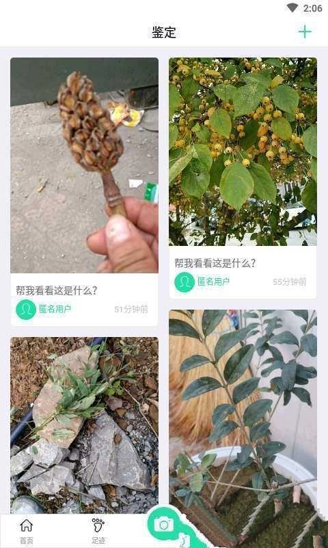 趣植物免费版图2