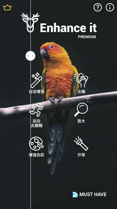 Enhance it解锁高级版图3