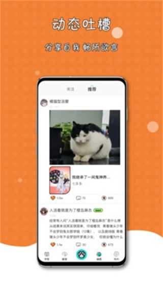 橘子猫轻小说免费原版图4