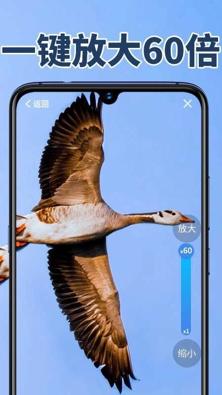 老人放大镜极速版图3