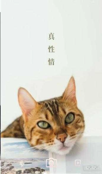 美妆镜子正式版下载