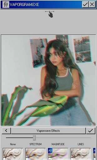Vaporgramv正版图4