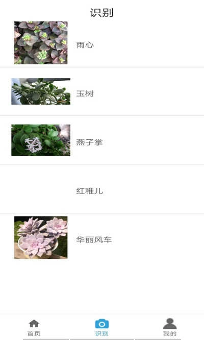 自然生活官方版图2