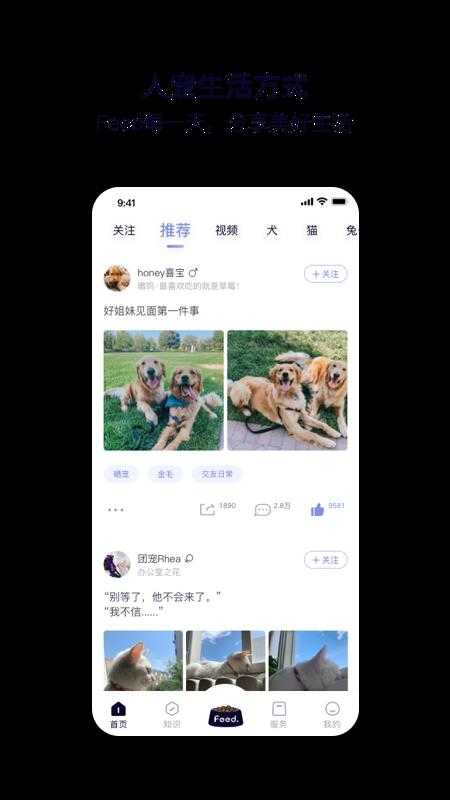 Feed安卓免费版