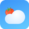 番茄天气最新版V2.0.0