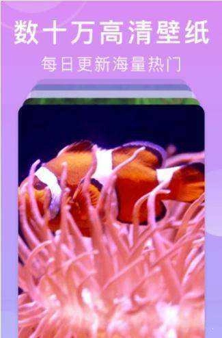 壁纸全能王手机版图3