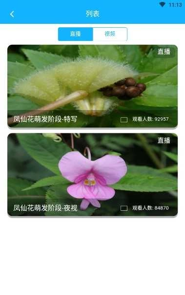 科米探索手机版图4