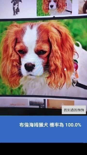 这是什么狗安卓官方版图2