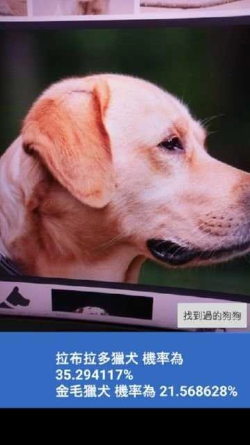 这是什么狗安卓官方版图3