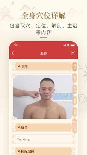 人体穴位图解可离线版图4