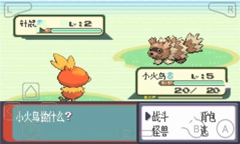 口袋妖怪绿宝石493最终版图3