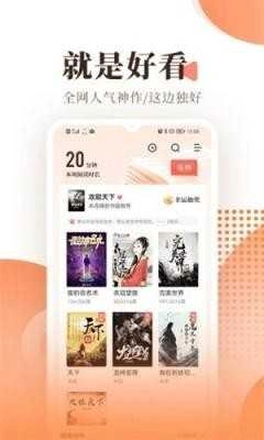 宜阅小说正版图2