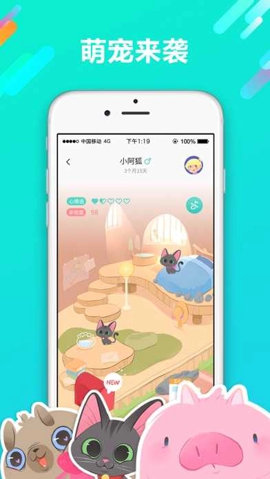宠遇最新免费版图4