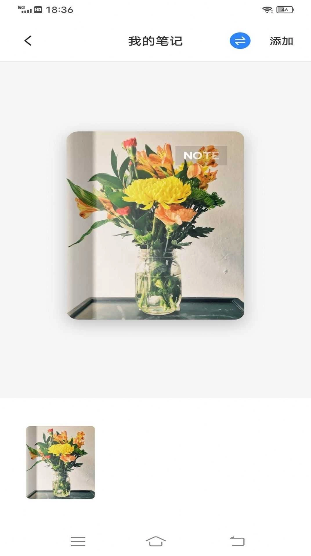 为知笔记本安卓版下载