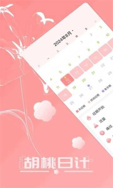胡桃日计手机免费版图2