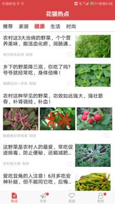 花猫热点安卓官方版图3
