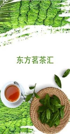 东方茗茶汇官方最新版图3